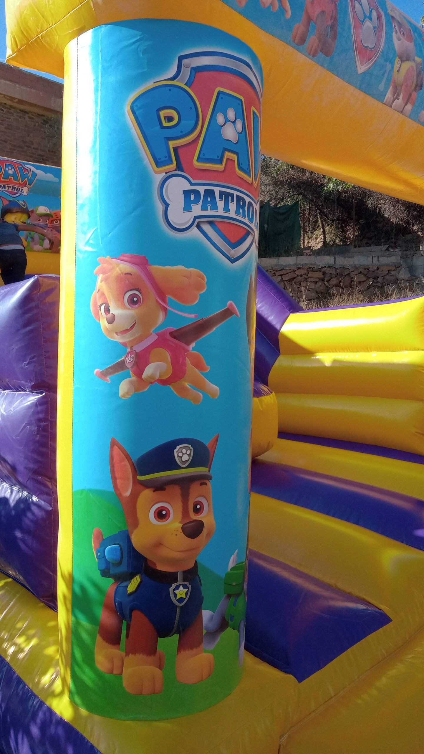 patrulla canina casa